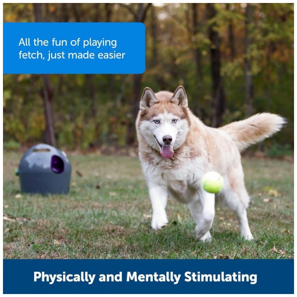 Encontraproduto.com.br - Lançador de Bolas de Tênis para Cães com Sensor de Movimento, PETSAFE ZTY00 15968, Cinza