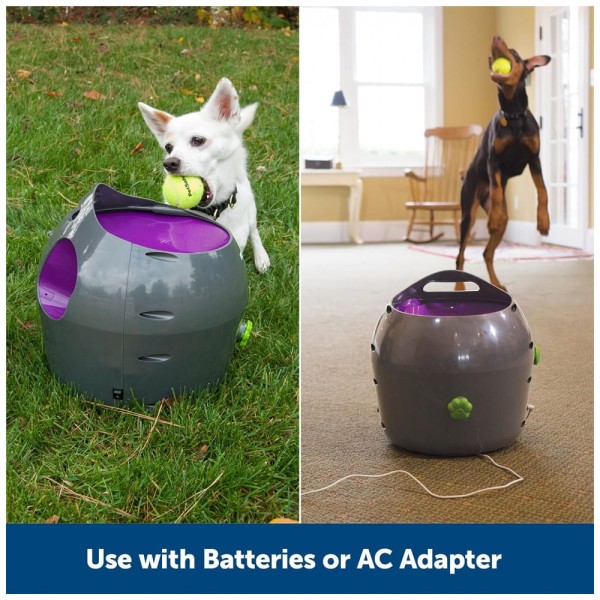 Encontraproduto.com.br - Lançador de Bolas de Tênis para Cães com Sensor de Movimento, PETSAFE ZTY00 15968, Cinza