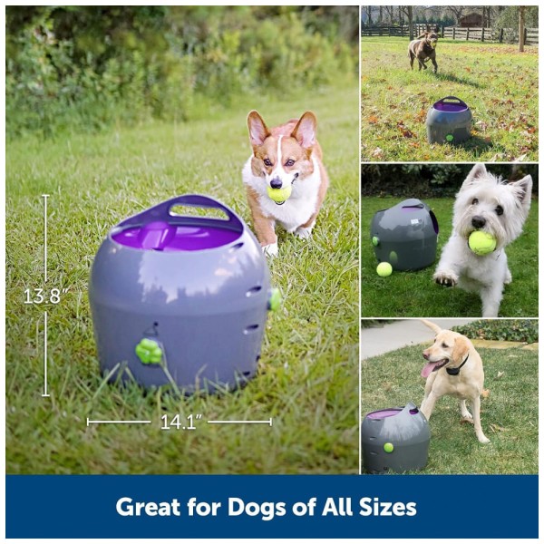 Encontraproduto.com.br - Lançador de Bolas de Tênis para Cães com Sensor de Movimento, PETSAFE ZTY00 15968, Cinza