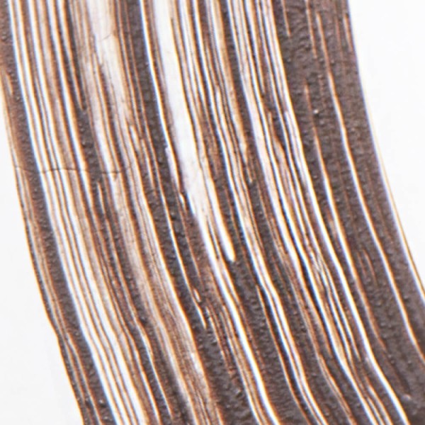 Encontraproduto.com.br - Máscara de Sobrancelha Castanho Escuro Nádia Tambasco By Océane - Brow Definer Deep Brown 5ml