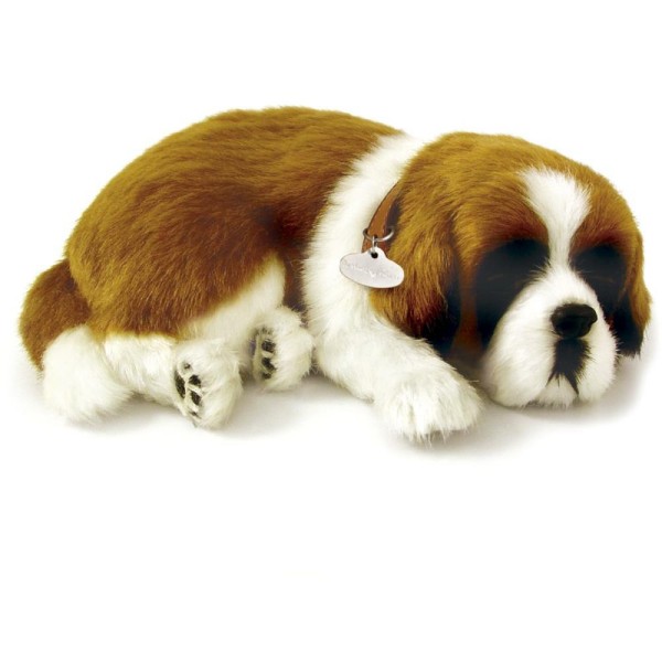 Encontraproduto.com.br - PERFECT PETZZZ FILHOTE CACHORRO SAO BERNARDO