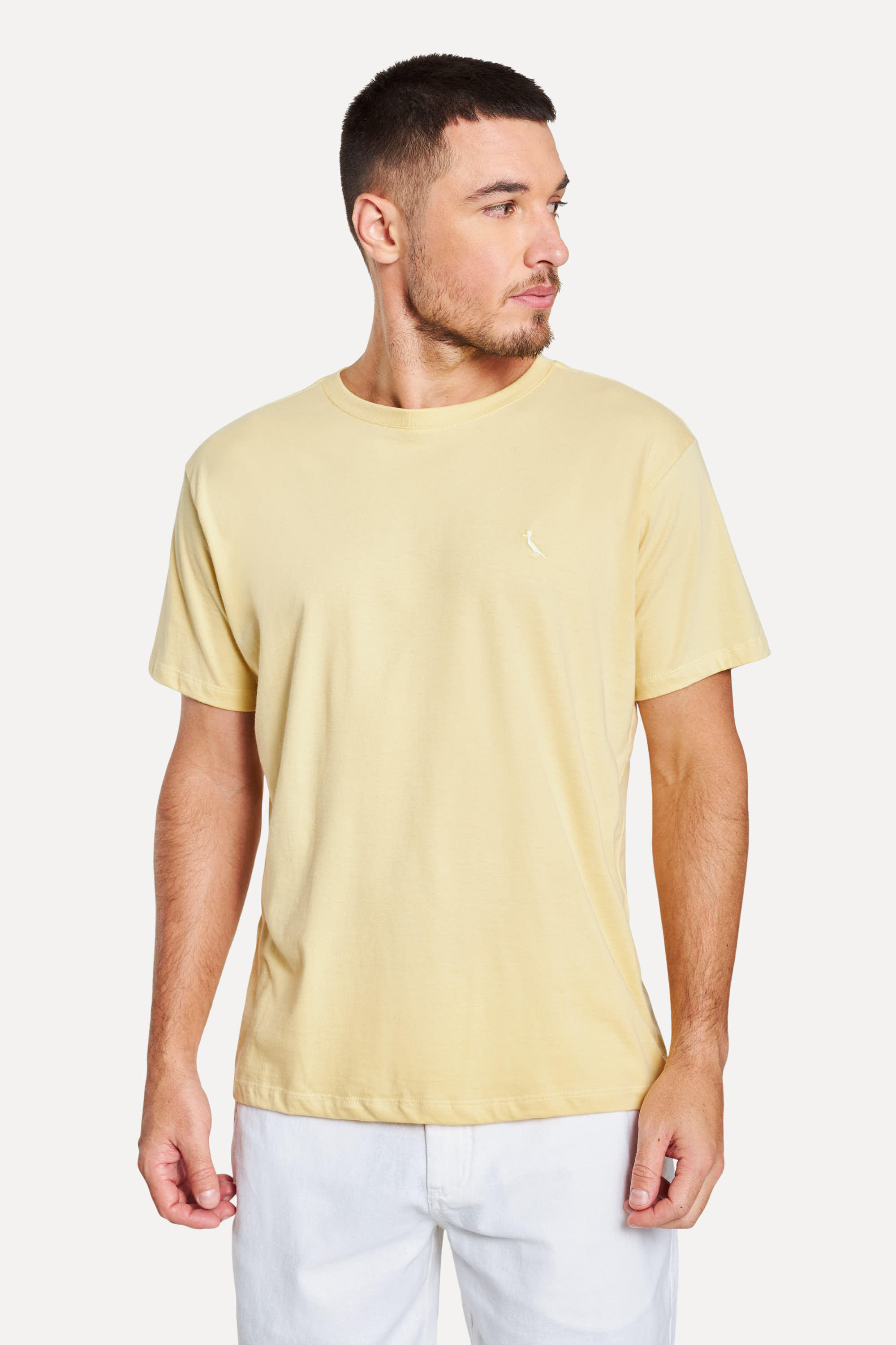 Camiseta Basica