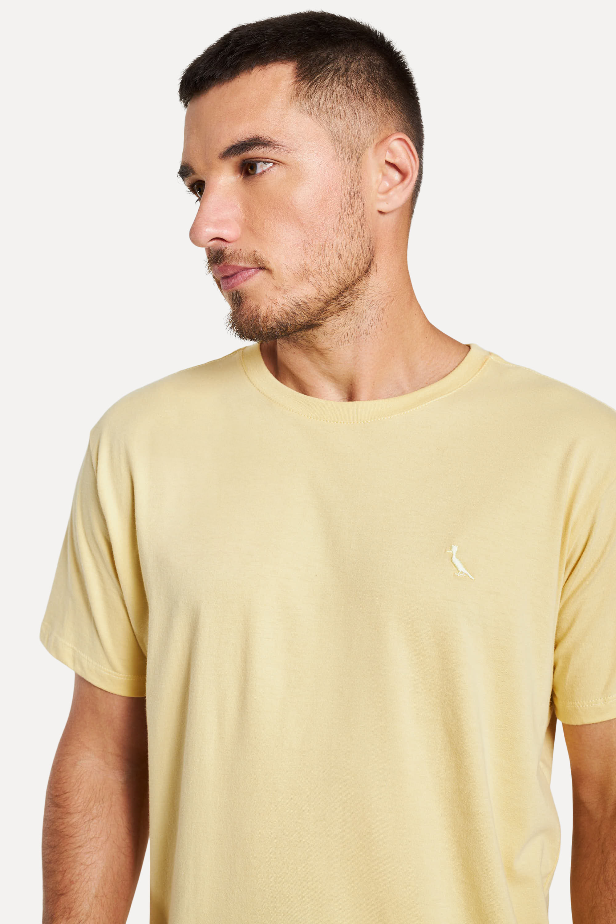 Encontraproduto.com.br - Camiseta Basica