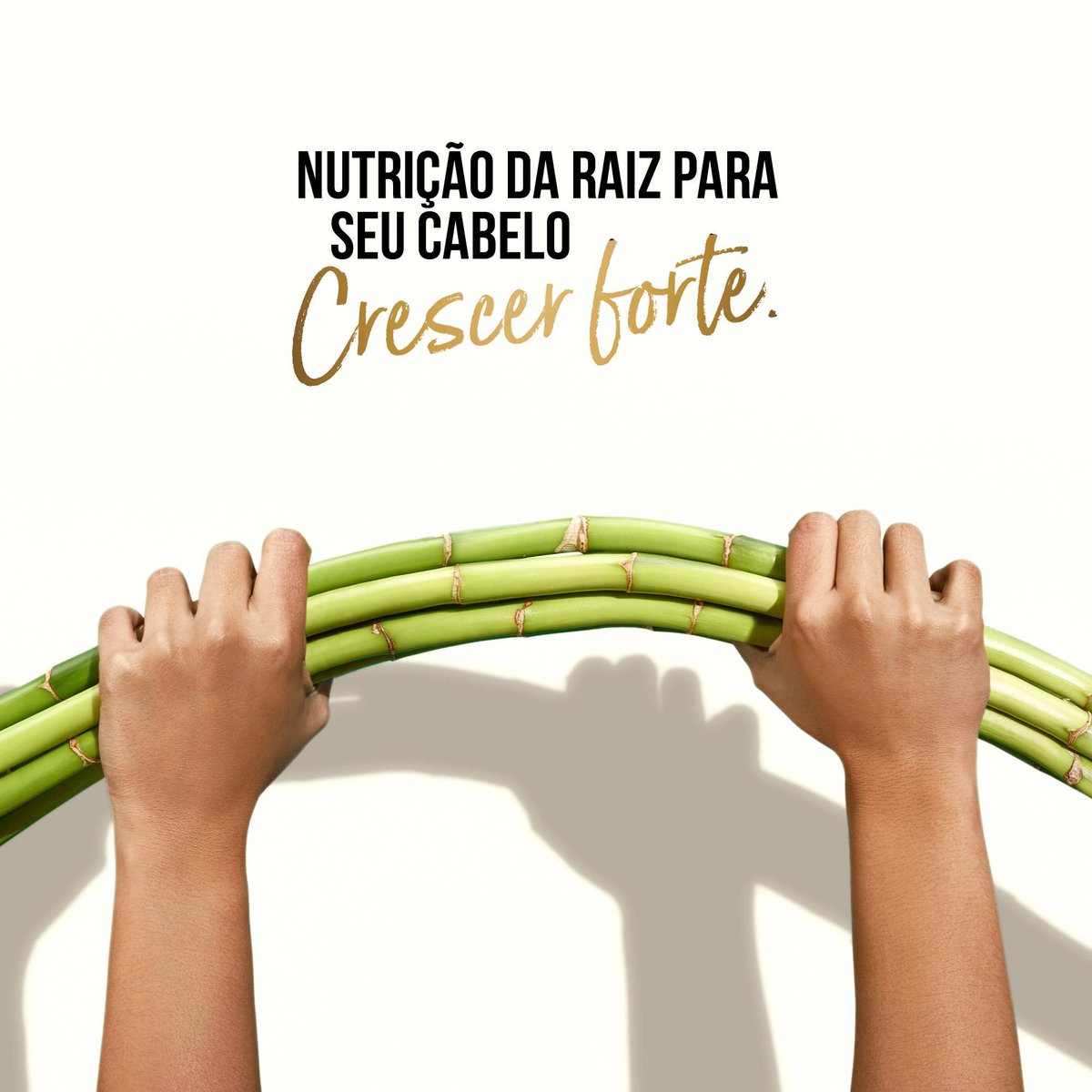 Encontraproduto.com.br - Creme de Pentear Bambu Nutre & Cresce Pantene -240g