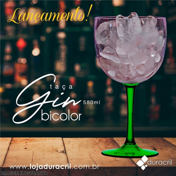 Encontraproduto.com.br - Taça para Gin em Acrílico Bicolor Verde Translucida 580ml
