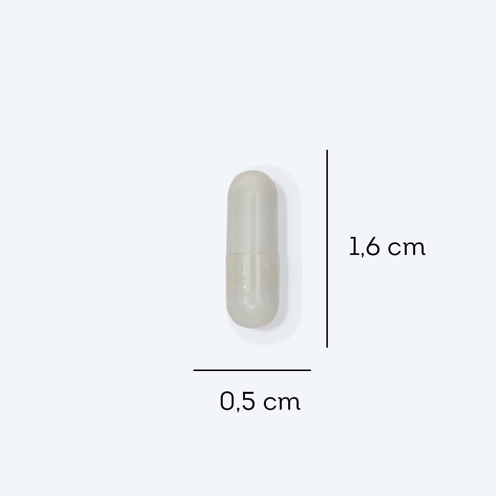Encontraproduto.com.br - Zinco Quelado Vegano Com 90 Comprimidos Fdc