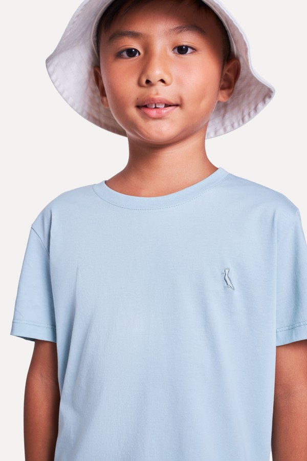 Encontraproduto.com.br - Camiseta Mini Pima Cores