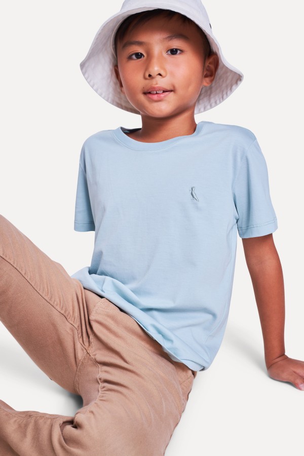 Encontraproduto.com.br - Camiseta Mini Pima Cores