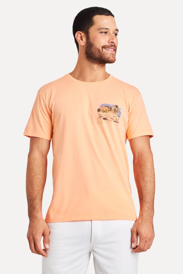 Encontraproduto.com.br - Camiseta Estampada Calcadas Peito Rj