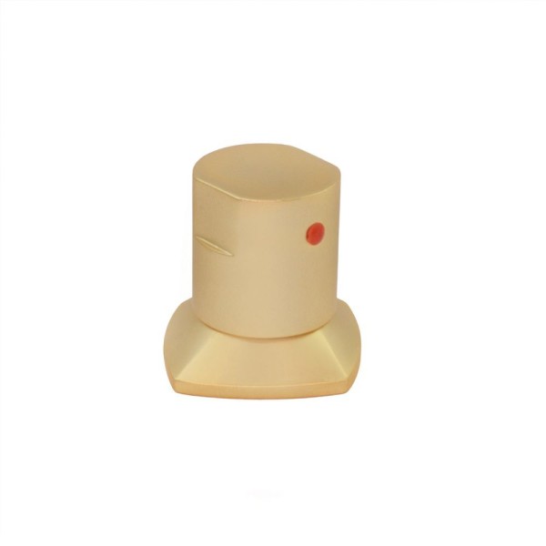 Encontraproduto.com.br - Acabamento Registro Dourado Ouro Fosco Encaixe Padrão
