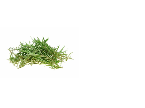 Encontraproduto.com.br - ALECRIM ORGANICO DO CHICO ALECRIM