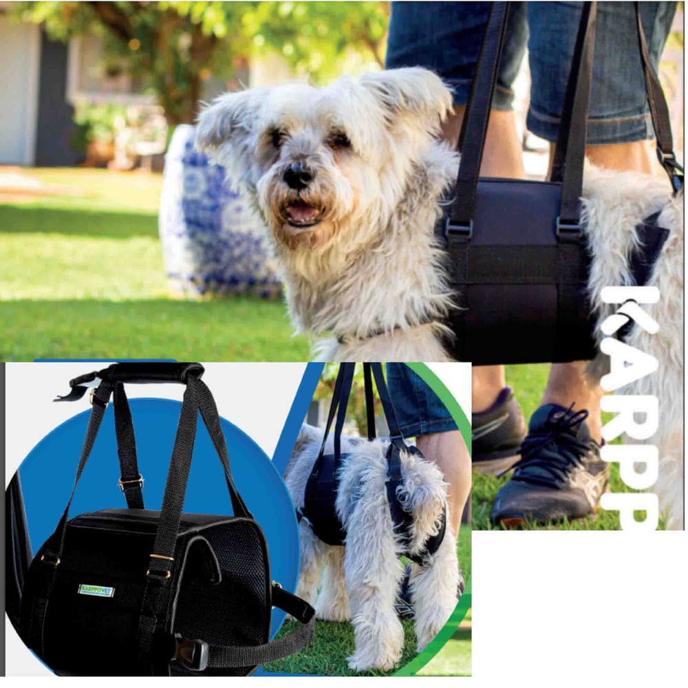 Encontraproduto.com.br - Suporte Para Cachorro Deficiente Peitoral Auxiliar Tam pp