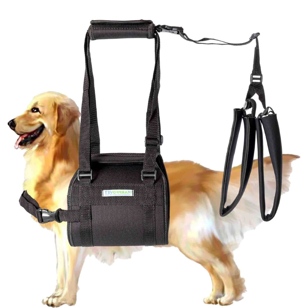 Encontraproduto.com.br - Suporte Para Cachorro Deficiente Peitoral Auxiliar Tam pp
