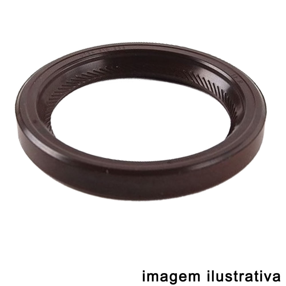 Encontraproduto.com.br - Retentor Comando Válvulas Fiat Stilo 2001 a 2010 - 199873 - R240013P