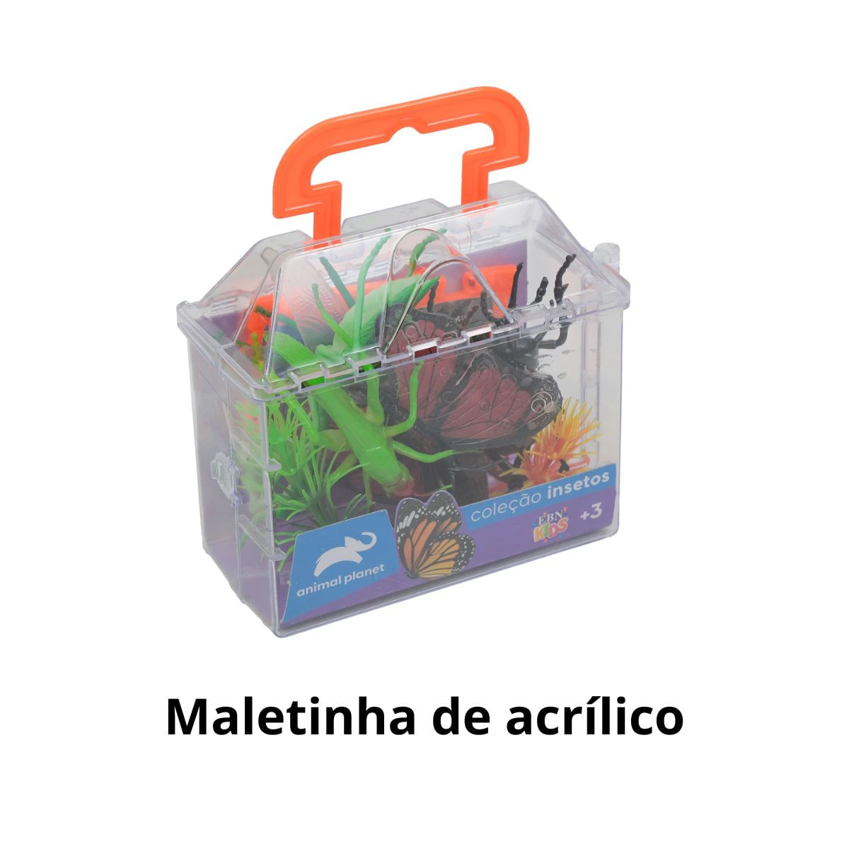 Encontraproduto.com.br - Maleta com Insetos Sortidos de Brinquedo EBN Kids Animal Planet – Educativo e Divertido para Crianças