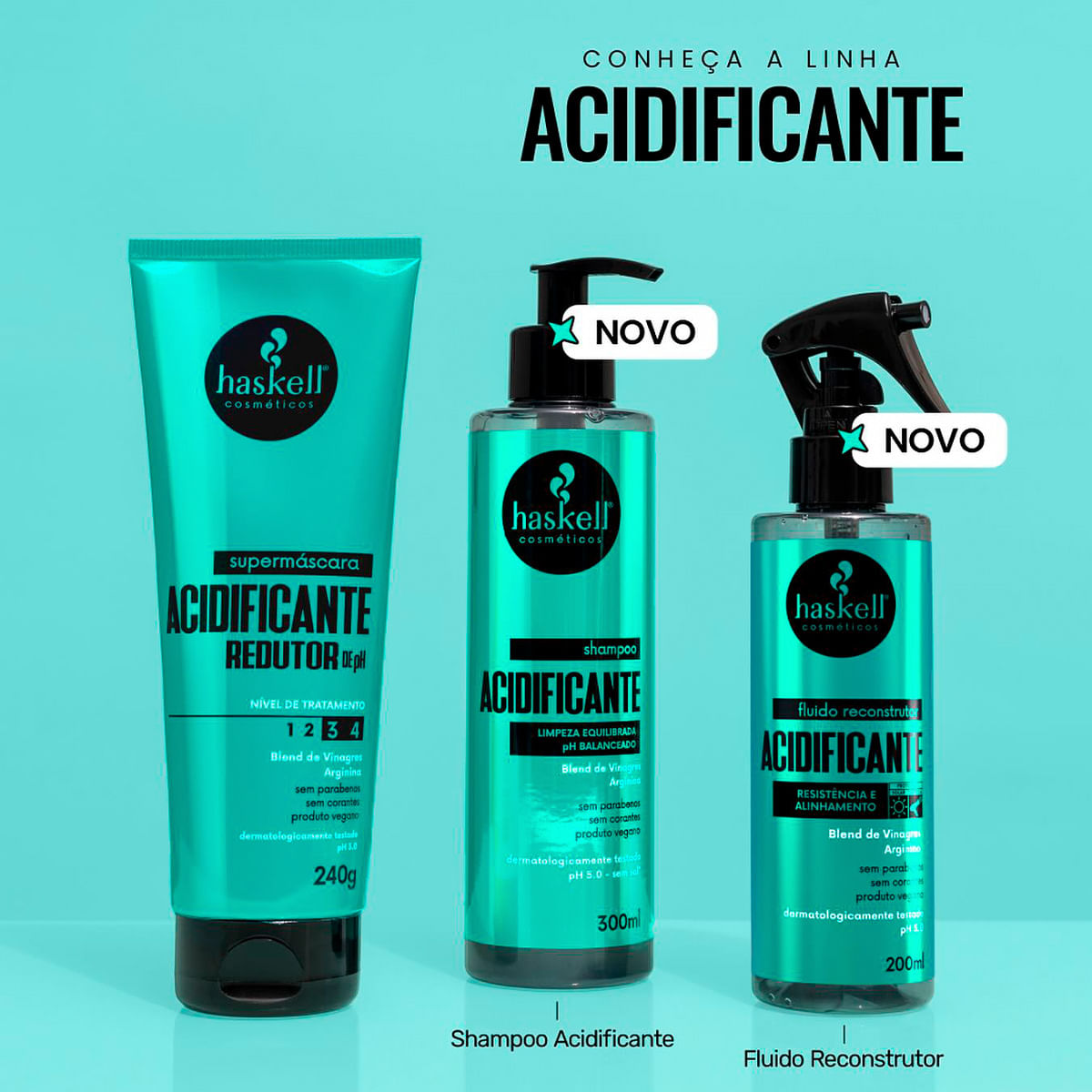 Encontraproduto.com.br - Kit Haskell Acidificante Shampoo+Supermáscara+Fluído Reconstrutor (3 produtos)