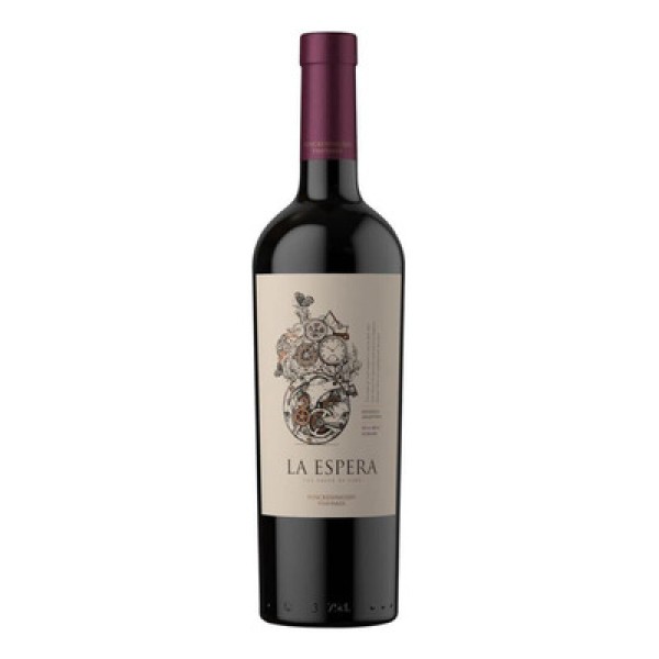 Vinho Argentino La Espera Malbec Syrah