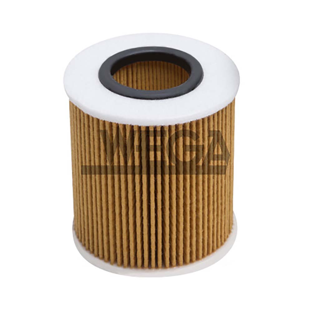 Filtro Oleo Motor Bmw 118I 2.0 16V 2009