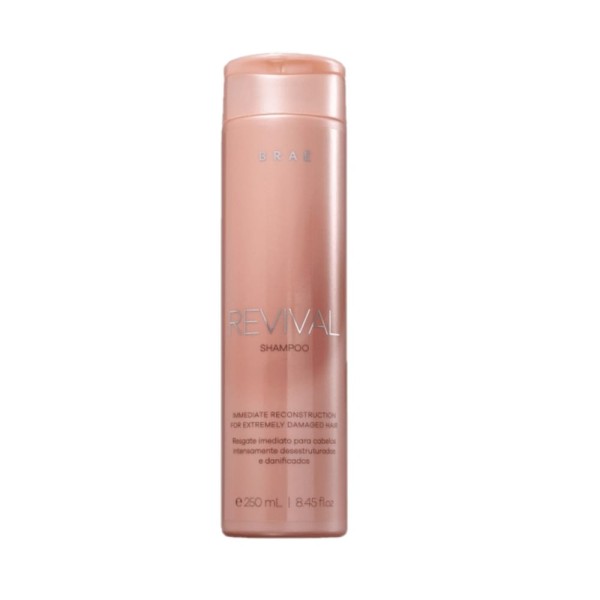 Encontraproduto.com.br - Kit Brae Revival Reconstrucao e Reparacao Especial  (6 Produtos)