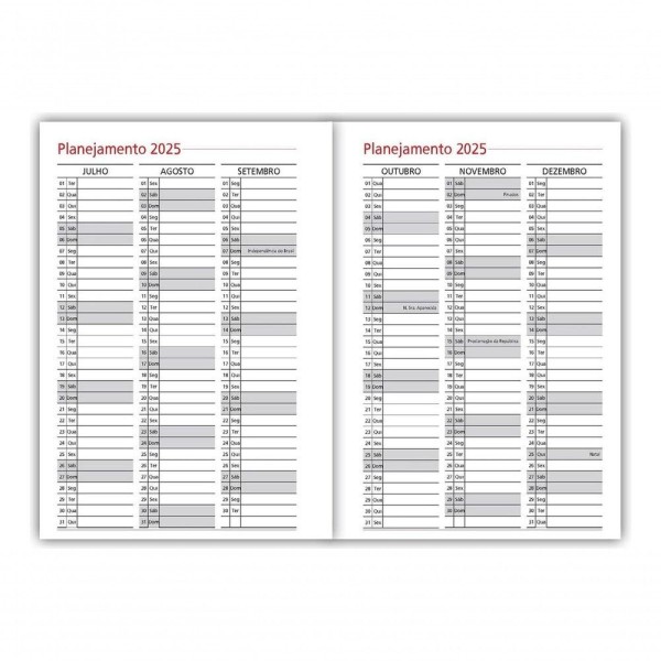 Encontraproduto.com.br - Agenda Profissões 2024 Capa Dura Recursos Humanos A5 352 Pgs