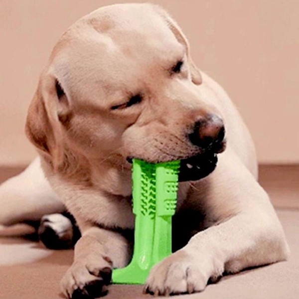 Encontraproduto.com.br - Escova Dentes Mordedor Grande Canino Limpeza Bucal