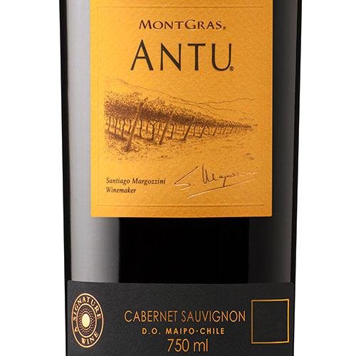 Vinho Montgras Antu Single Vineyard Cabernet Sauvignon 2020 Tinto Chile 750ml