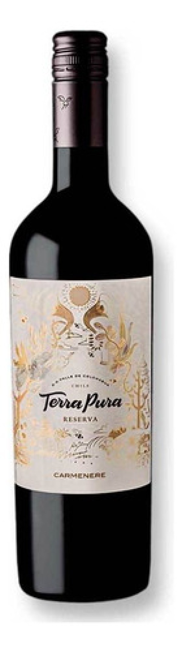 Vinho Chileno Tinto Carmenere Reserva Terrapura 750ml