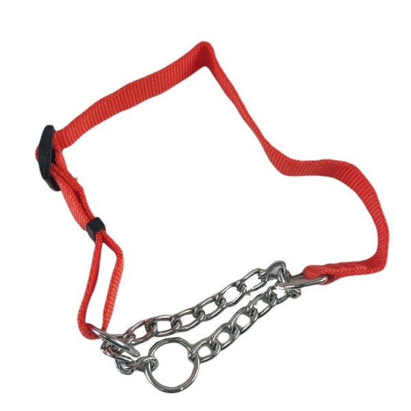Encontraproduto.com.br - Coleira Corrente Nylon 2.5cm Aço Elo Torcido Enforcador