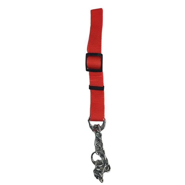 Encontraproduto.com.br - Coleira Ajustavel Guia 2.5cm Elo Torcido Enforcador Caes