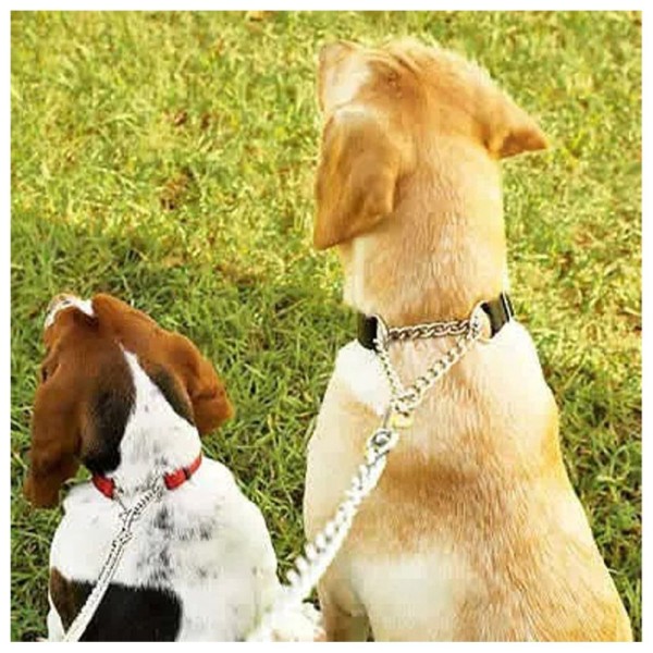 Encontraproduto.com.br - Coleira Guia Ajustavel 2.5cm Elo Torcido Enforcador Corrente Cachorro Caes Pet