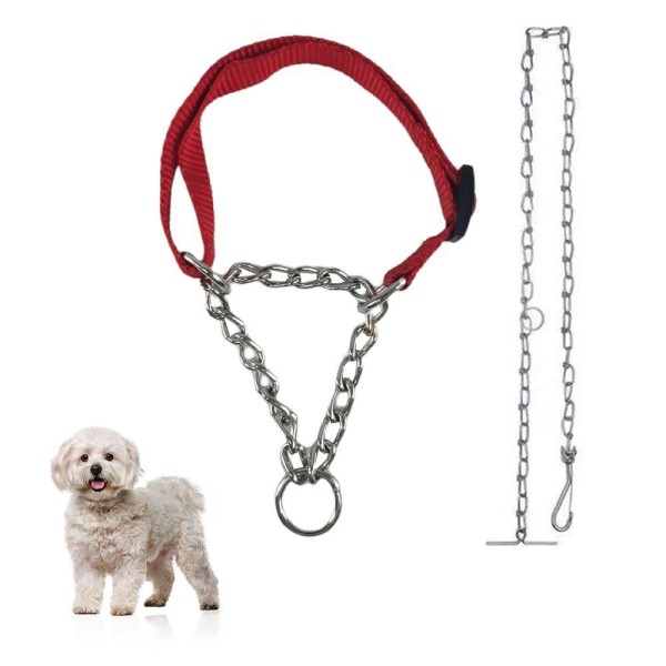 Encontraproduto.com.br - Coleira Guia Ajustavel Kit Corrente Aço Semi Enforcador