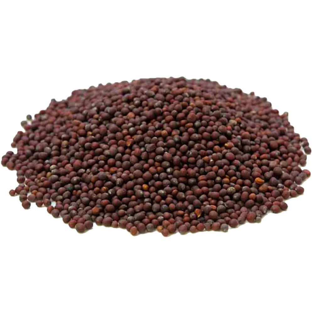 Encontraproduto.com.br - Semente De Mostarda Preta Para Acupuntura Auricular - 100g
