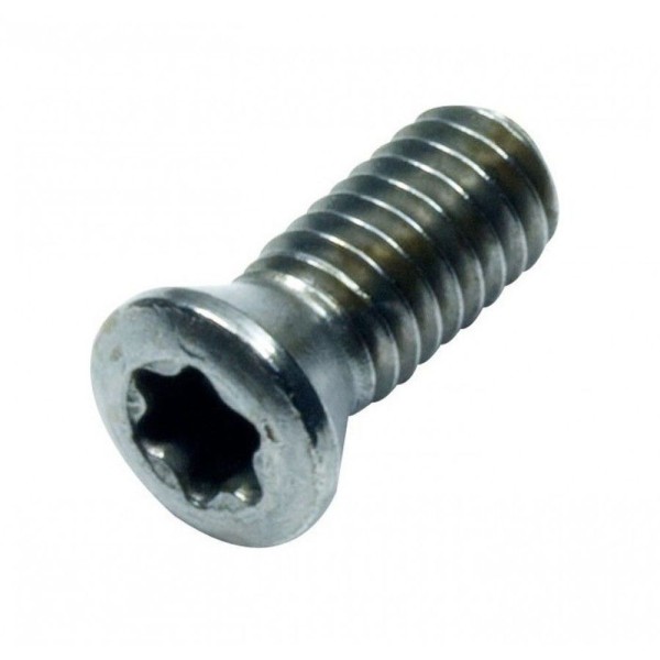 Parafuso Torx M2,2x5,0 T06 - Jg Tools