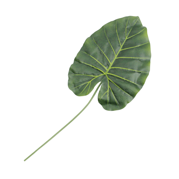 HASTE FOLHA TROPICAL 70CM R. Y80591FJG