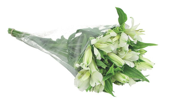 Encontraproduto.com.br - Maço Flor Alstroemeria 6 Hastes Variadas Veiling Holambra