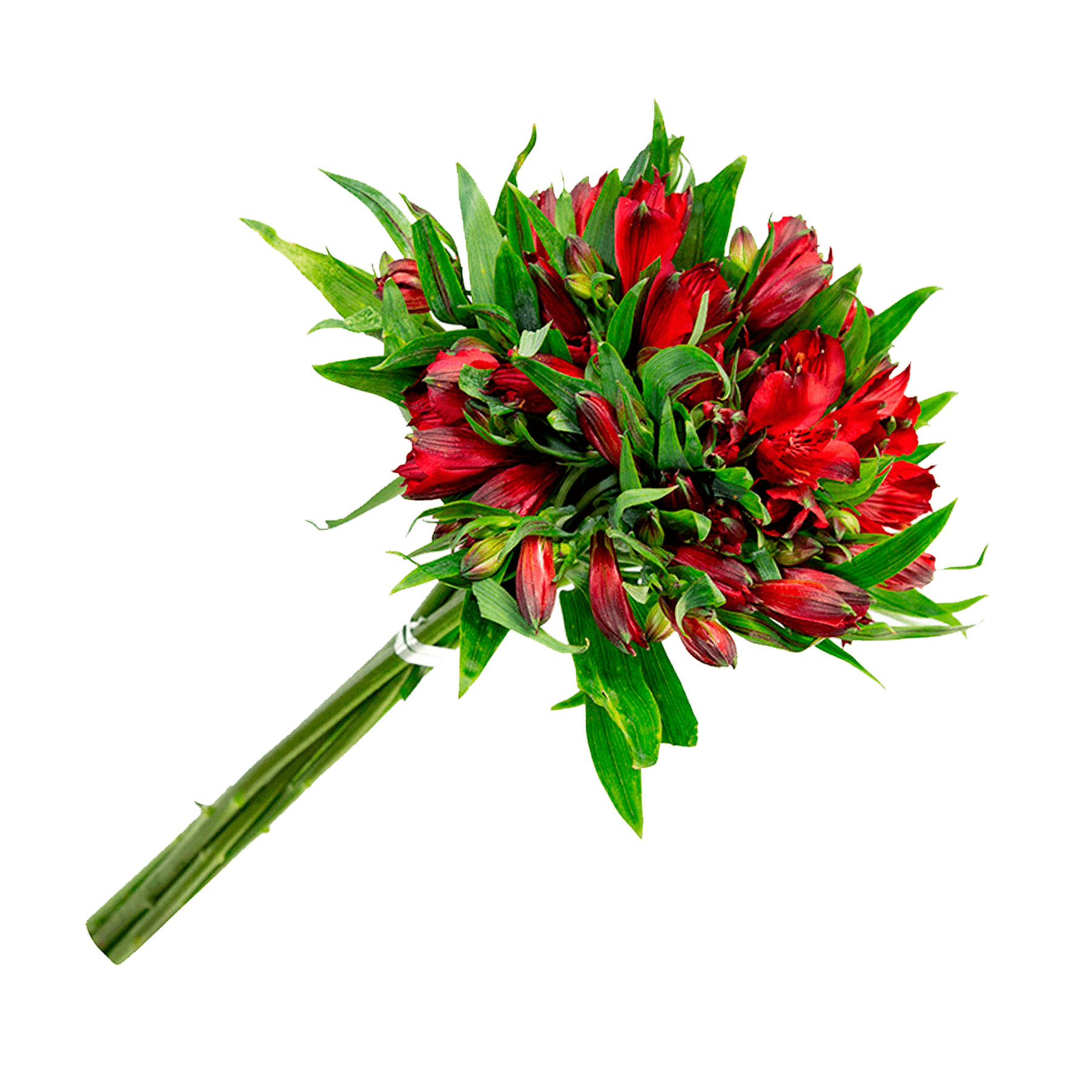 Encontraproduto.com.br - Maço Flor Alstroemeria 6 Hastes Variadas Veiling Holambra