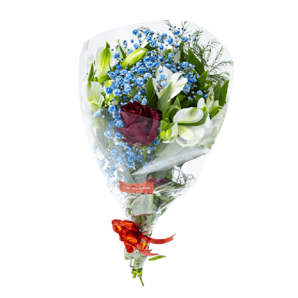 Encontraproduto.com.br - BOUQUET DE FLORES DIVERSAS