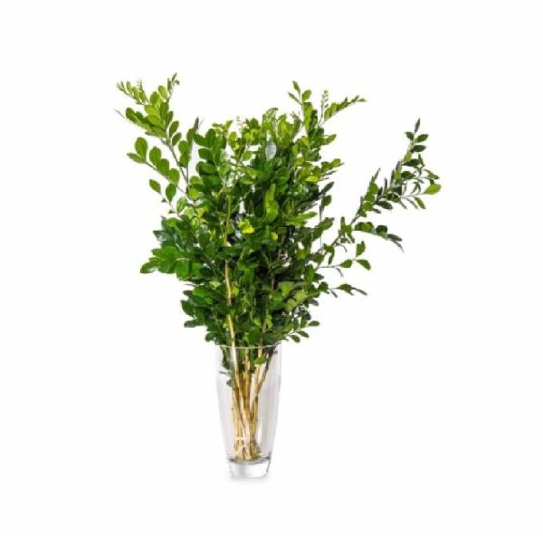 Encontraproduto.com.br - Flor Poética Maço Folhagem Variada un