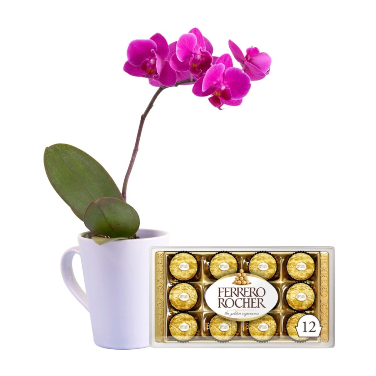 Flor Orquídea Phalaenopsis 2ht Pote12 - 1un