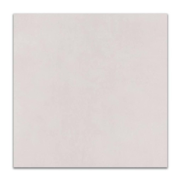 Encontraproduto.com.br - Porcelanato Acetinado Eliane Munari Branco 
