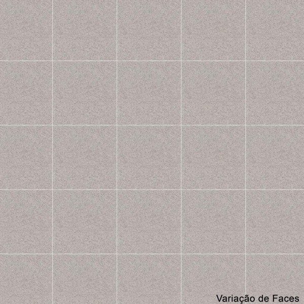 Encontraproduto.com.br - Porcelanato Externo Eliane Micron Zinco No-Slip Retificado 