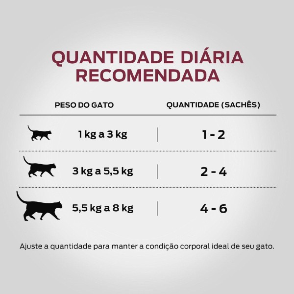 Encontraproduto.com.br - Ração Úmida Pro Plan Gato Adulto Sachê Salmão 85g