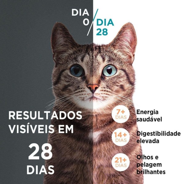 Encontraproduto.com.br - Alimento Gato One 500g Adultos Frango e Carne