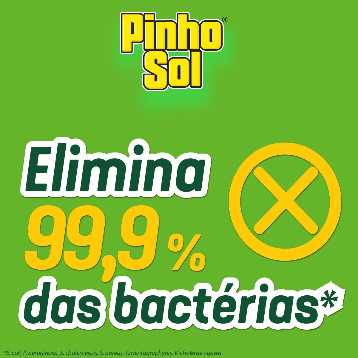 Encontraproduto.com.br - Desinfetante Pinho Sol Original Frasco com 500ml