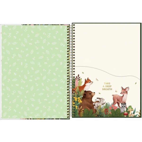Encontraproduto.com.br - Caderno Espiral Foroni Universitário Capa Dura Kolor 10 Matérias 160 Folhas - Embalagem Com 4 Unidades (sortidos)