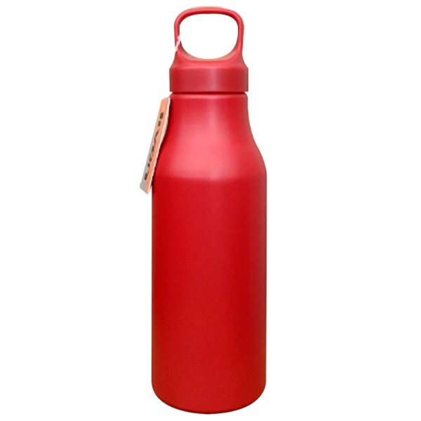 Encontraproduto.com.br - Garrafa 650ml em Alumínio Livon