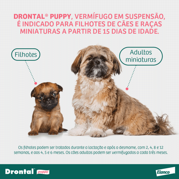 Encontraproduto.com.br - Drontal Puppy Suspensão 20ml Bayer vermífugo cães