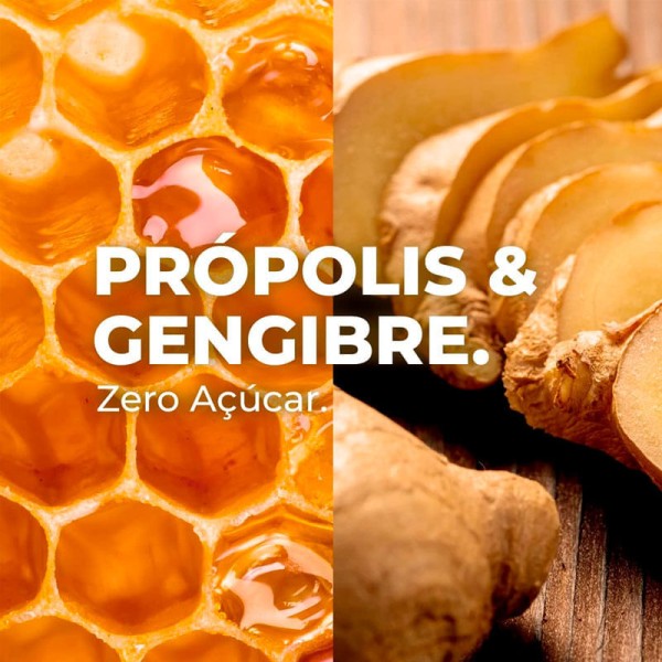 Encontraproduto.com.br - Pastilhas Valda Mais Zero Açúcar Sabor Própolis e Gengibre 50g