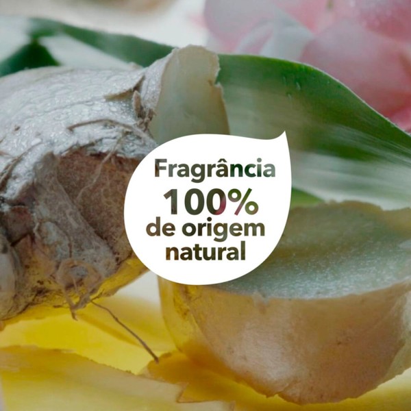 Encontraproduto.com.br - Shampoo Dove Purif+Gengibre Pump 300Ml