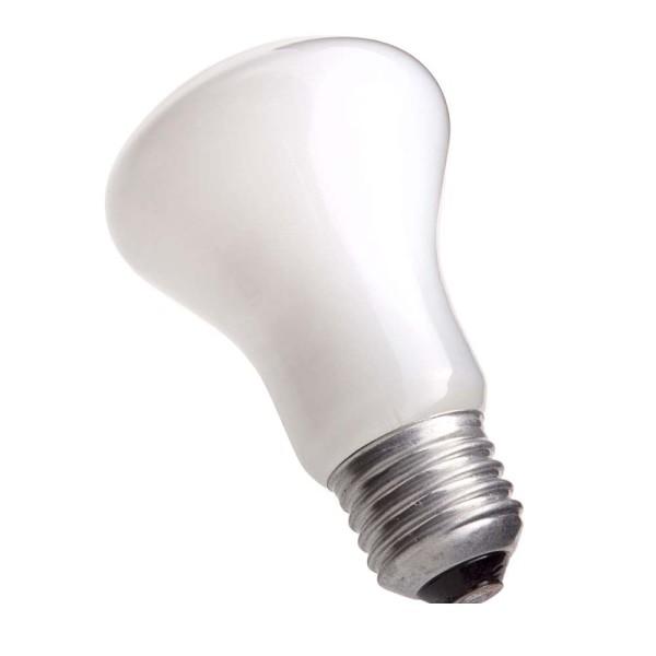 Encontraproduto.com.br - Lâmpada incandescente 127V 100W Bellalux Osram